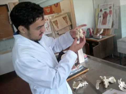 Best educational consultancy for abroad near me